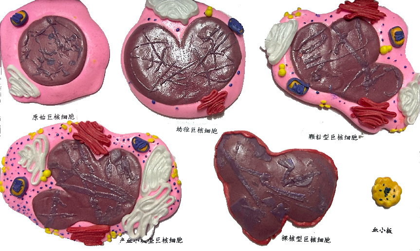 40a7abaadfa472fc1db638fe95cb82e