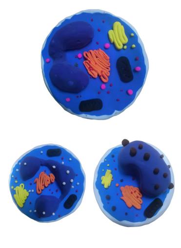 0e6246a298314356b30201ae6044a53