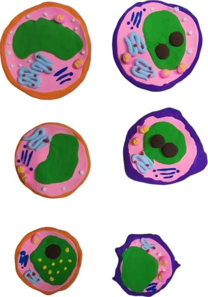 5c461026028ebcdb9c18438820eec27e_